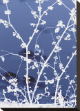 Autumn Branch (blue)