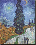 Country Road in Provence by Night  c1890