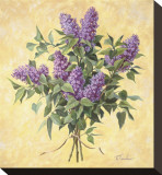 Lilac Season II