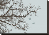 Winter Whimsy