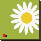 Daisy Sunshine