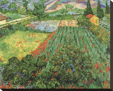 Field of Poppies  Saint-Remy  c1889