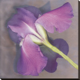 Parfum