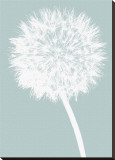 Dandelion (blue)