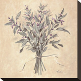 Scent of Sage