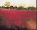 Red Land