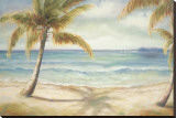 Shoreline Palms II