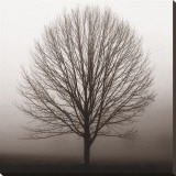 Stillness