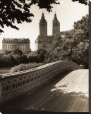 Central Park Bridges I