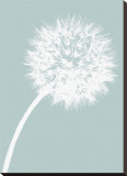 Dandelion Tilt (blue)