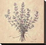 Scent of Thyme