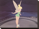 Preening Pixie