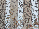 Season Wind Gravel