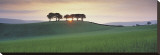 Somerset Sunrise