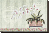 Asian Harmony