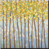 Glistening Tree Tops