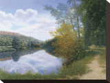 Path Along the River