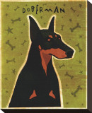 Doberman