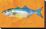 Bluefish