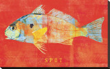 Spot
