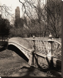 Central Park Bridges II