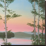 Cooper Sunset Birches