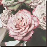 Vintage Rose