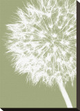 Dandelion Crop (khaki)