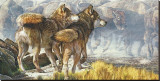 Return of the Wild