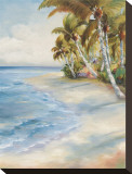 Tropical Retreat