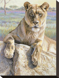 Serengeti Lioness