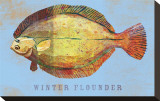 Winter Flounder
