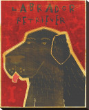Lab (black)
