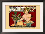 Waverley Cycles