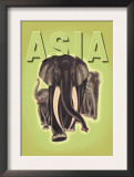 Indian Elephants