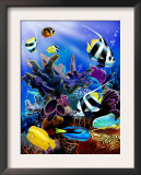 Coral Reef