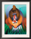 Baboon