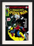 Amazing Spider-Man 194 Cover: Spider-Man and Black Cat
