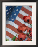 Poppies and American Flag