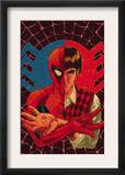 Spider-Man: With Great Power& 1 Cover: Spider-Man  Peter Parker