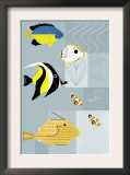 Tropical Fish