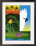Cockatoo