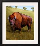 Buffalo