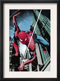 Amazing Spider-Man: Extra 3 Cover: Spider-Man
