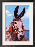 Kitsch Donkey