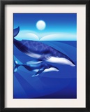 Whales Swimming
