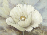 White Elegance II