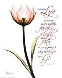 Love Tulip Red