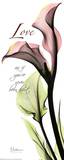 Pink Lily  Love