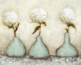 Hydrangea I